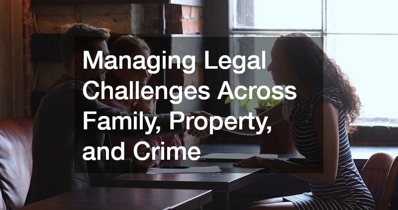 Managing Legal Challenges Across Family, Property, and Crime